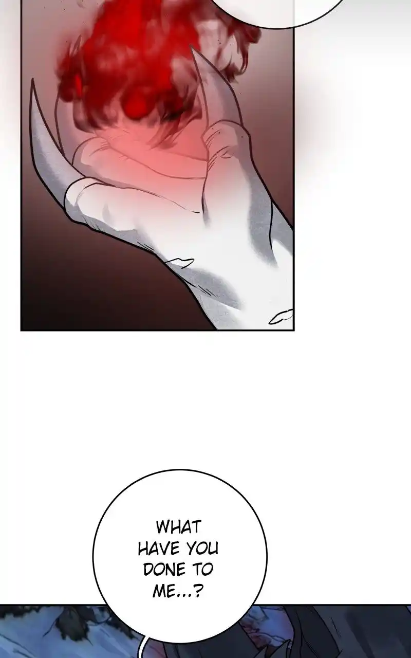 The Newlywed Life Of A Witch And A Dragon Chapter 114