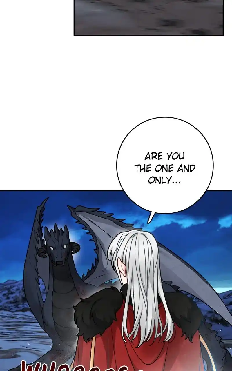 The Newlywed Life Of A Witch And A Dragon Chapter 114