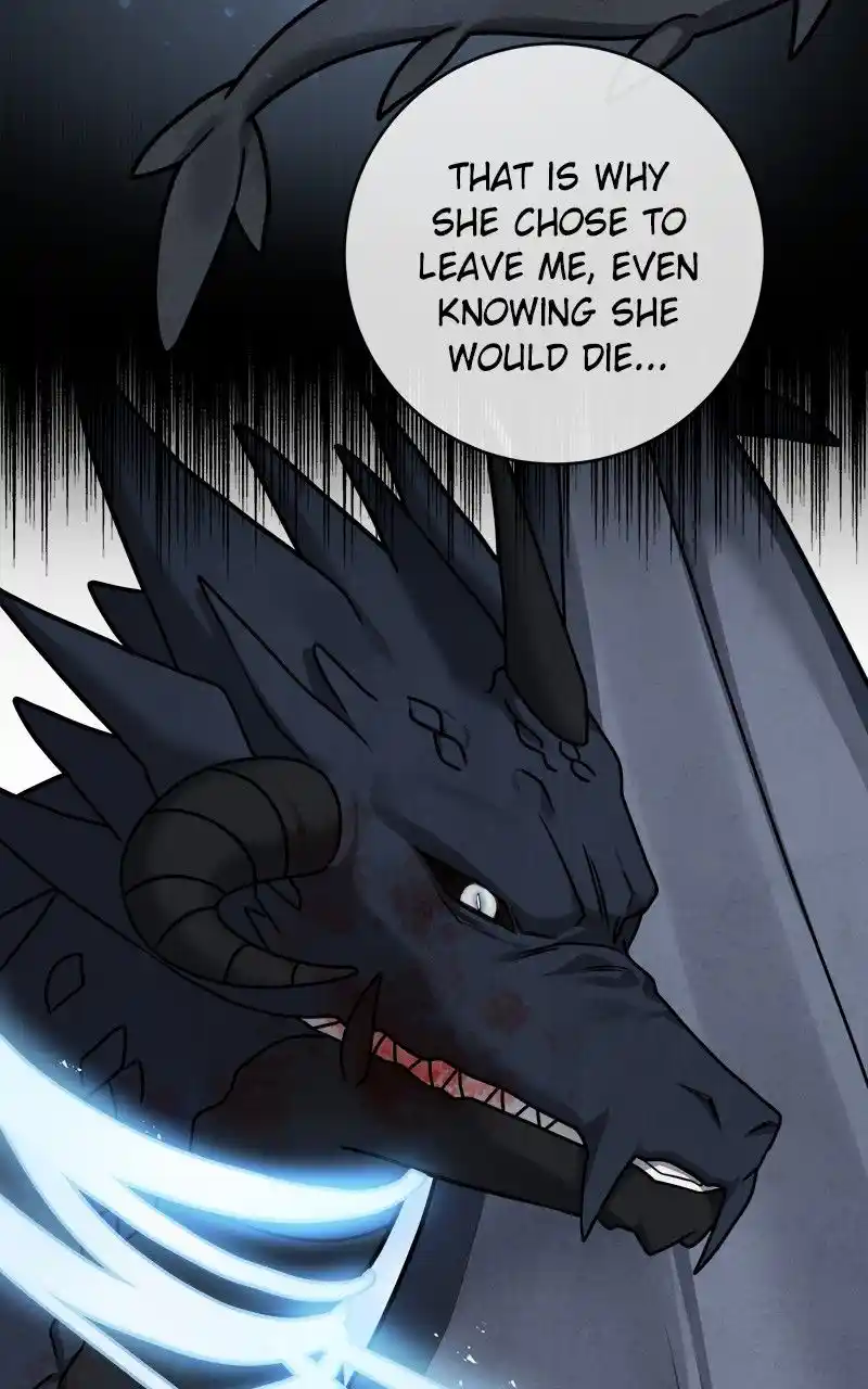 The Newlywed Life Of A Witch And A Dragon Chapter 115