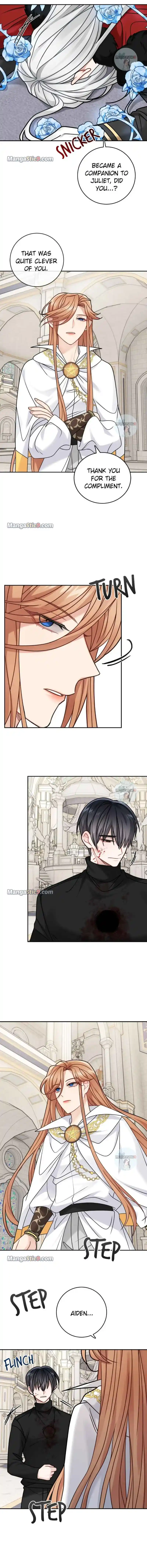 The Newlywed Life Of A Witch And A Dragon Chapter 118