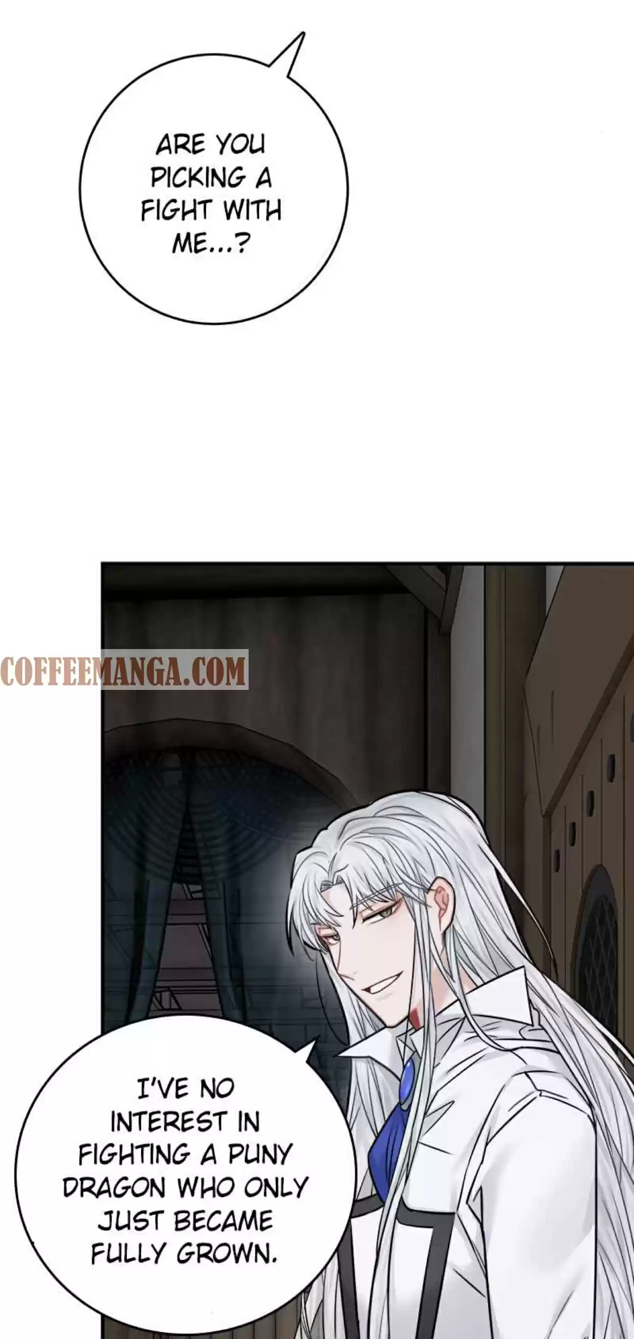 The Newlywed Life Of A Witch And A Dragon Chapter 41