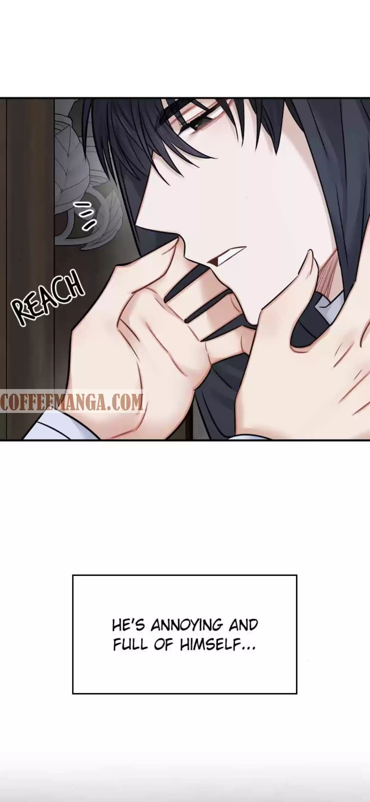 The Newlywed Life Of A Witch And A Dragon Chapter 41