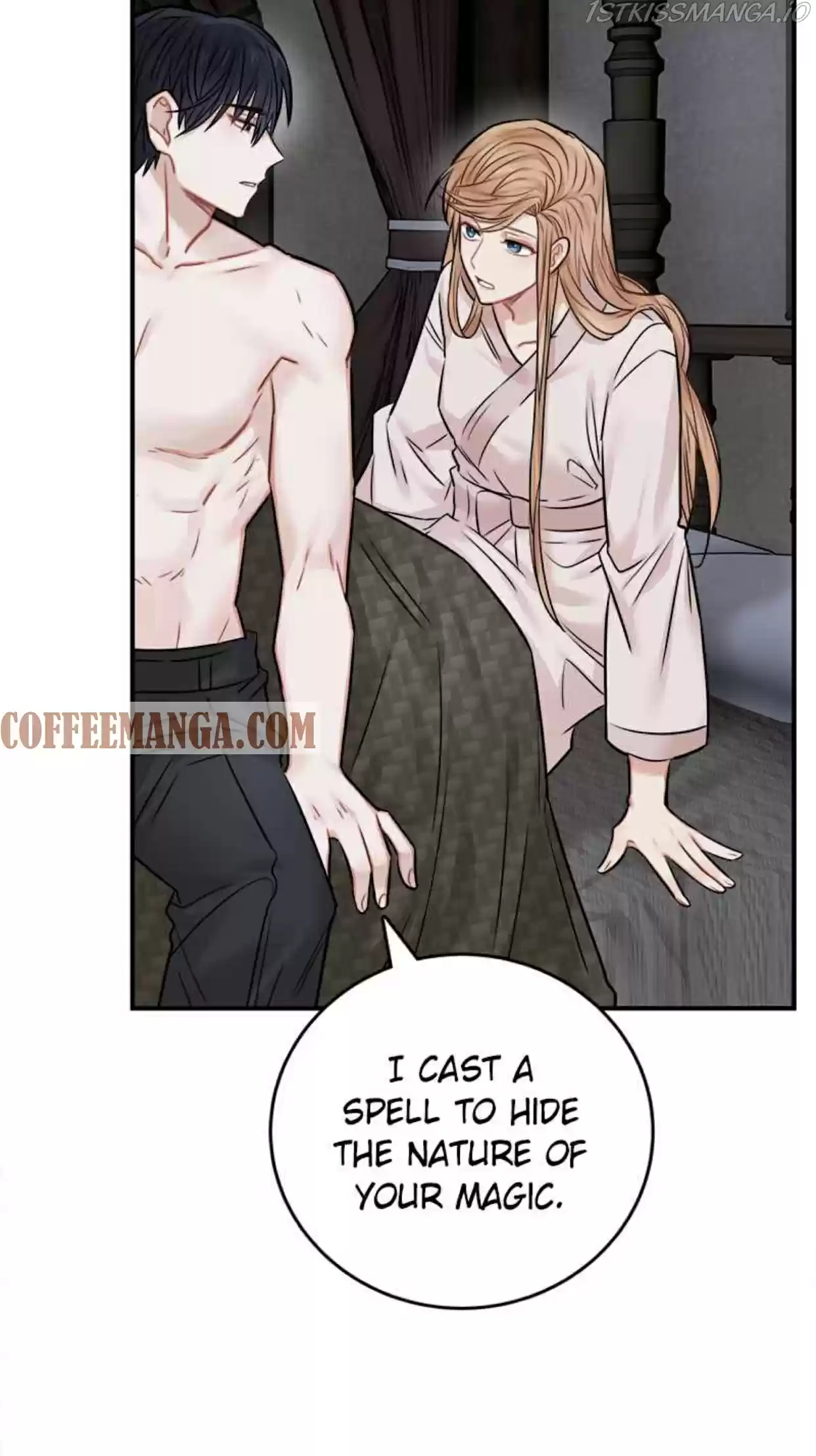 The Newlywed Life Of A Witch And A Dragon Chapter 41.5