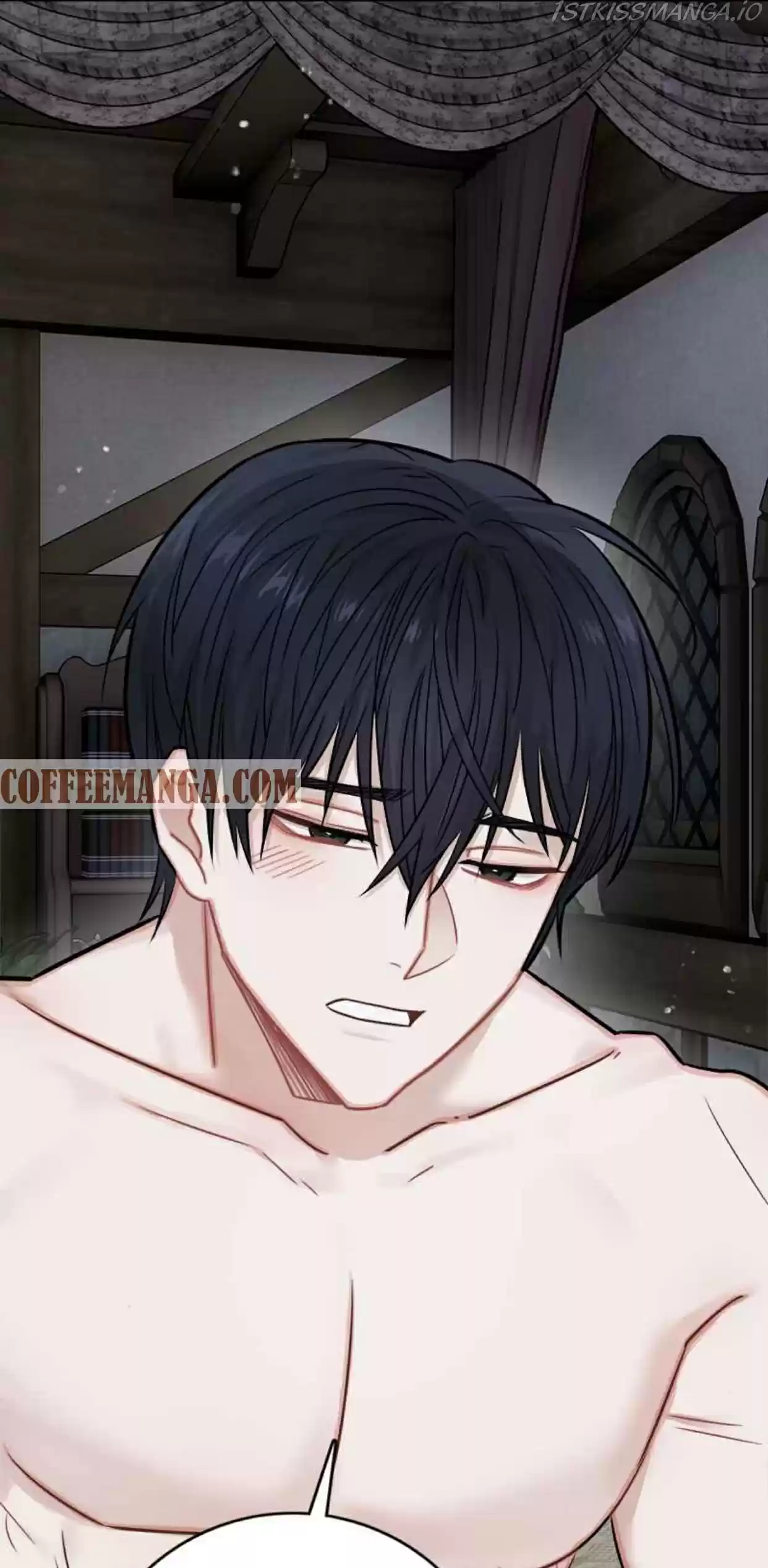 The Newlywed Life Of A Witch And A Dragon Chapter 41.5