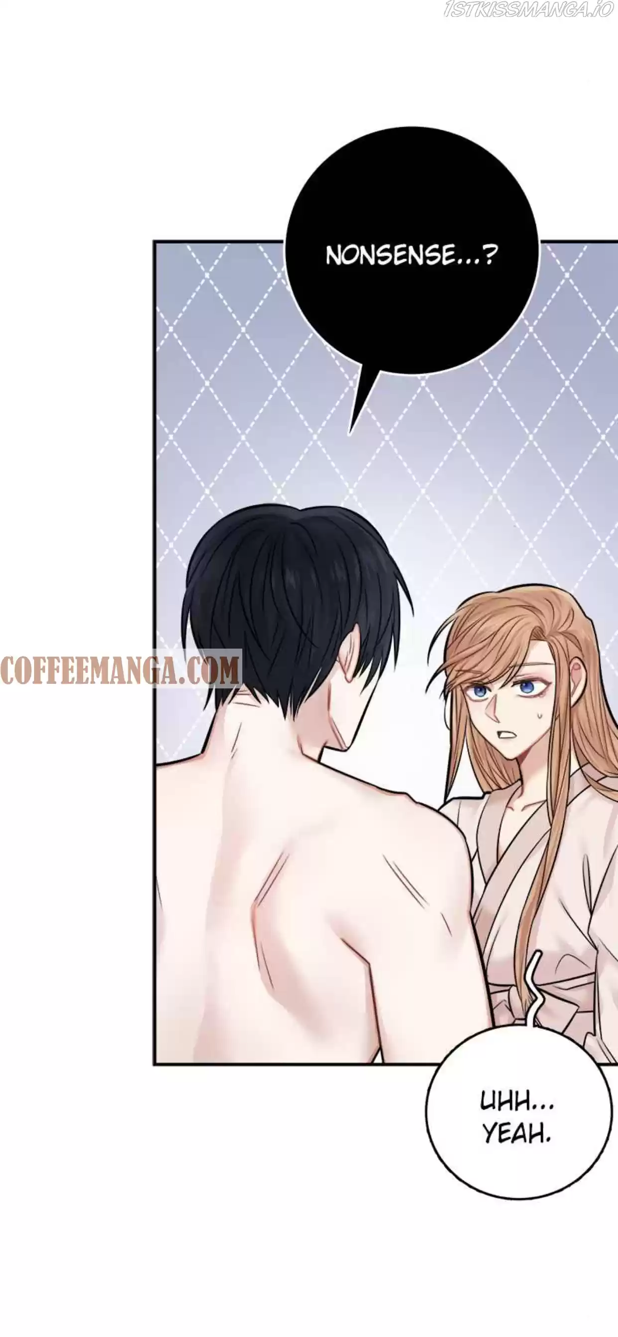 The Newlywed Life Of A Witch And A Dragon Chapter 41.5