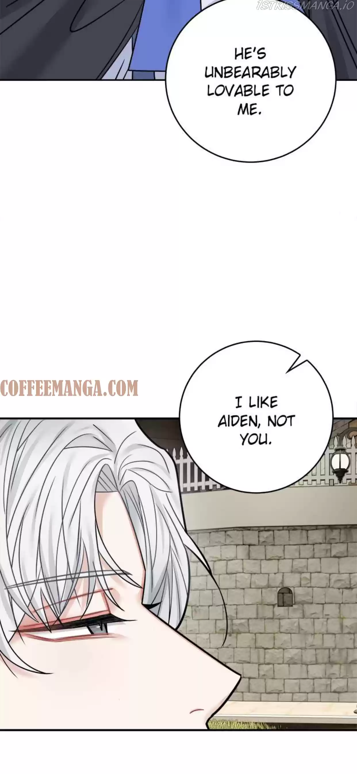 The Newlywed Life Of A Witch And A Dragon Chapter 41.5