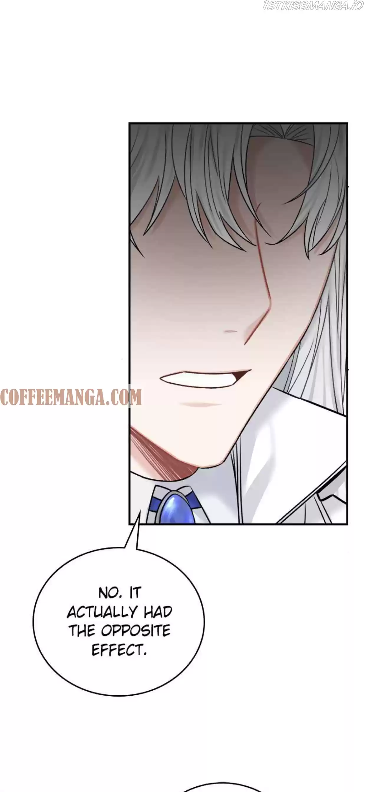 The Newlywed Life Of A Witch And A Dragon Chapter 41.5