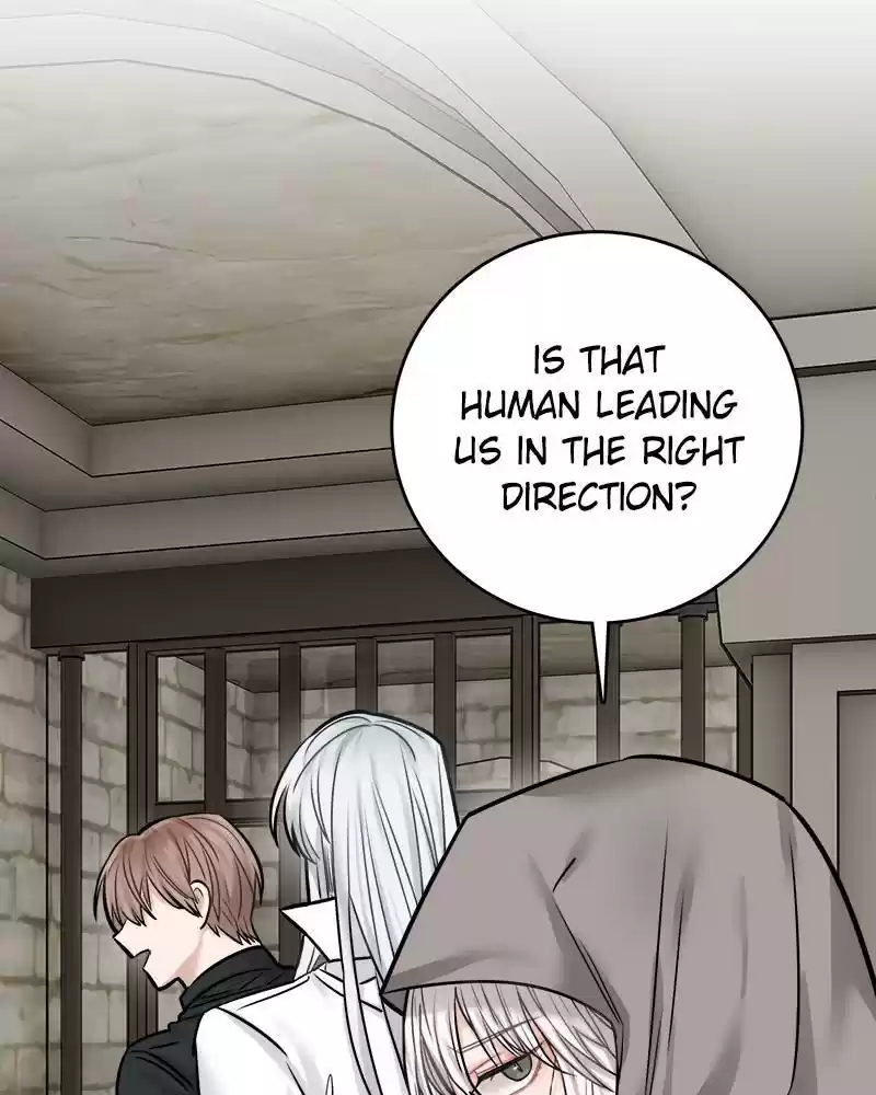 The Newlywed Life Of A Witch And A Dragon Chapter 44