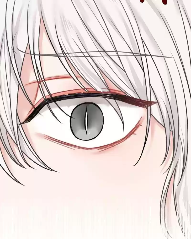 The Newlywed Life Of A Witch And A Dragon Chapter 46