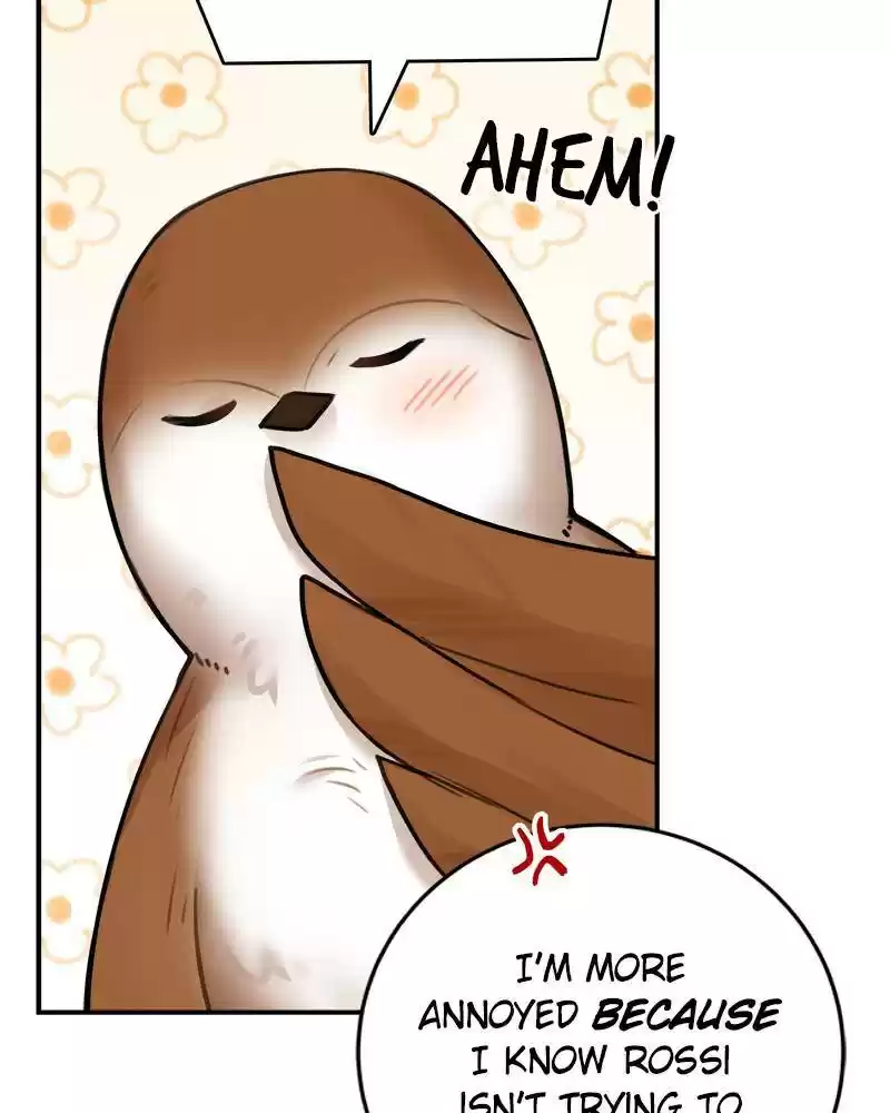 The Newlywed Life Of A Witch And A Dragon Chapter 48