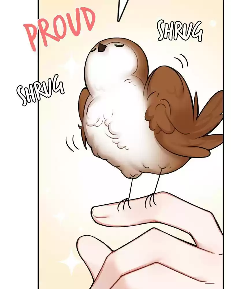 The Newlywed Life Of A Witch And A Dragon Chapter 48