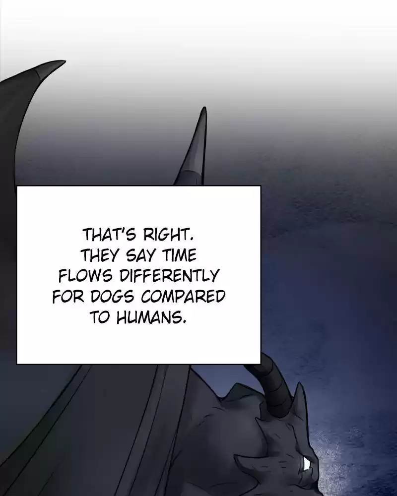 The Newlywed Life Of A Witch And A Dragon Chapter 49