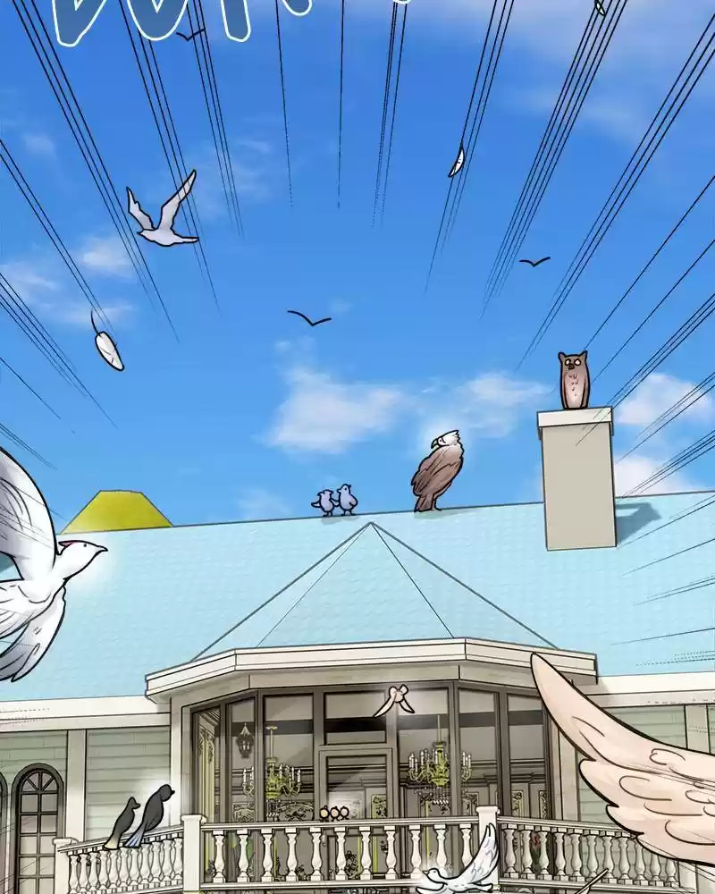 The Newlywed Life Of A Witch And A Dragon Chapter 49