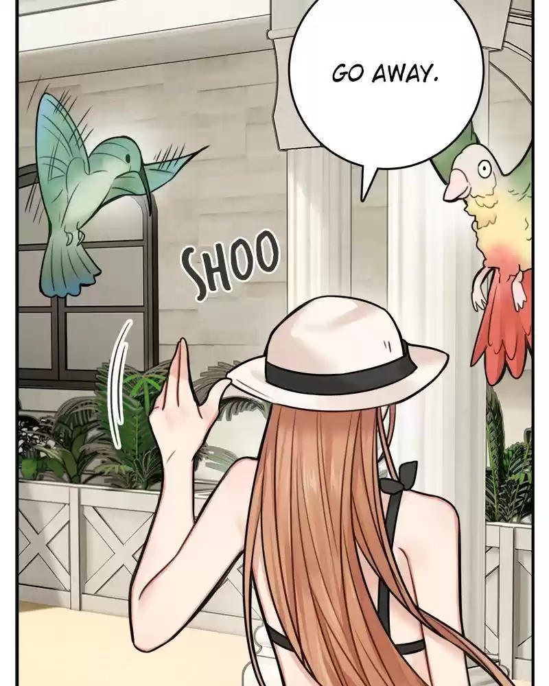 The Newlywed Life Of A Witch And A Dragon Chapter 49