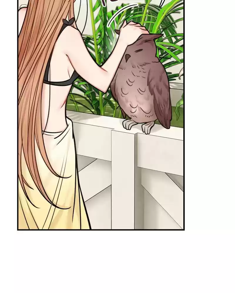 The Newlywed Life Of A Witch And A Dragon Chapter 49