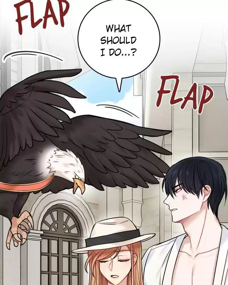 The Newlywed Life Of A Witch And A Dragon Chapter 50