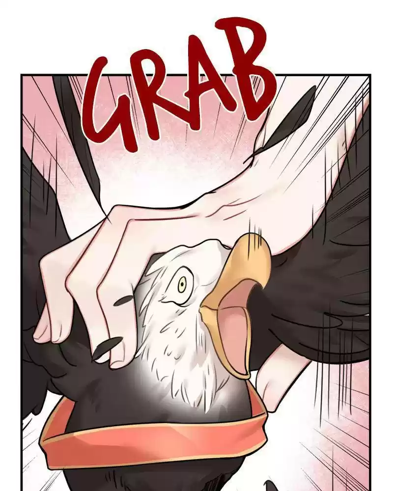 The Newlywed Life Of A Witch And A Dragon Chapter 50