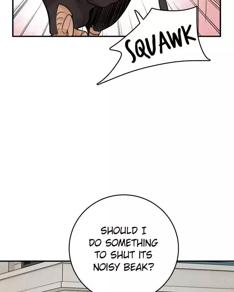 The Newlywed Life Of A Witch And A Dragon Chapter 50