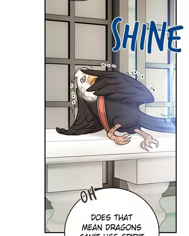 The Newlywed Life Of A Witch And A Dragon Chapter 50