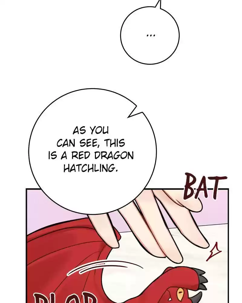 The Newlywed Life Of A Witch And A Dragon Chapter 51