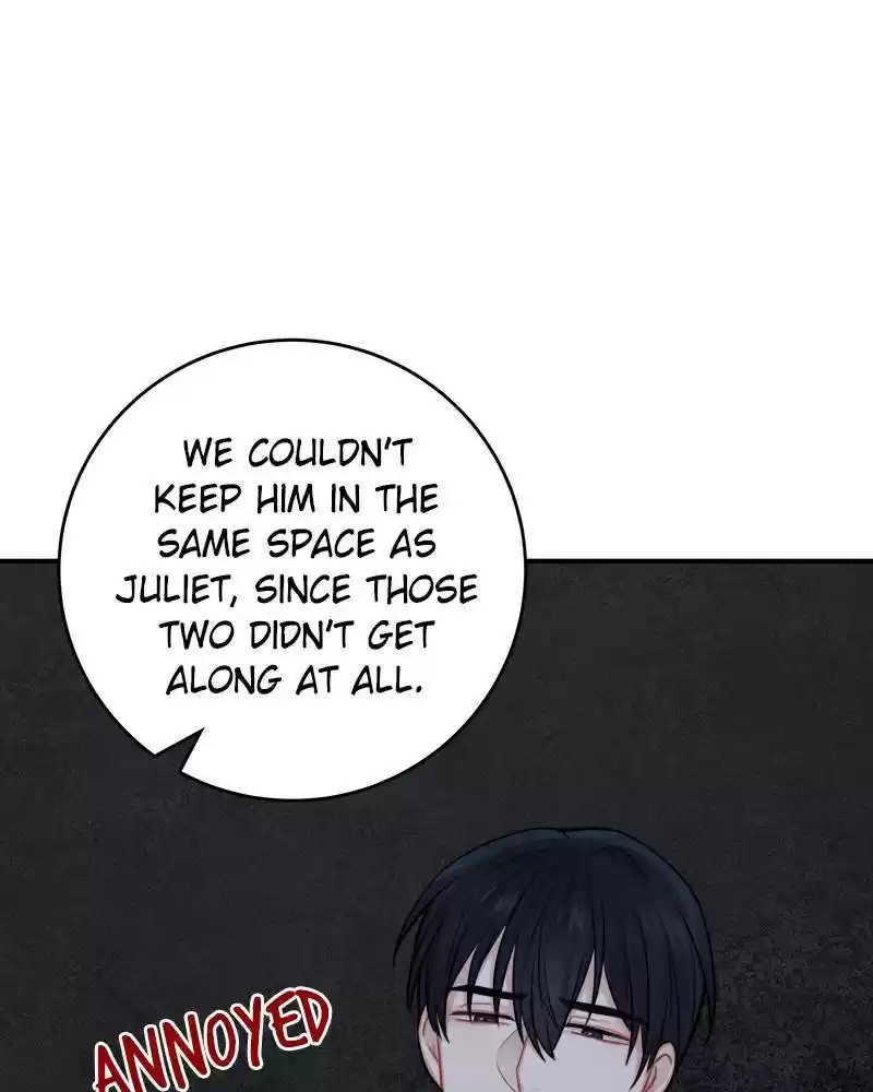 The Newlywed Life Of A Witch And A Dragon Chapter 51