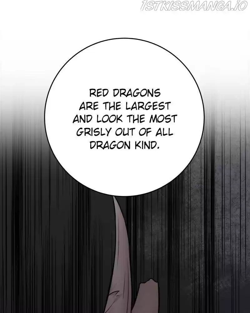 The Newlywed Life Of A Witch And A Dragon Chapter 52