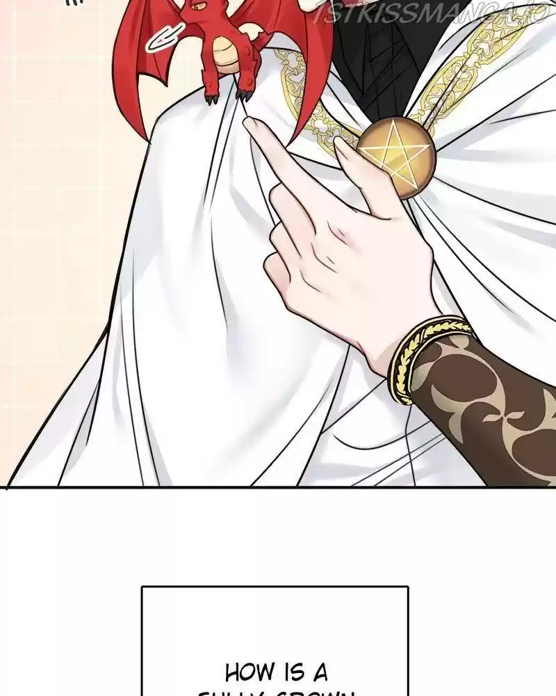 The Newlywed Life Of A Witch And A Dragon Chapter 52