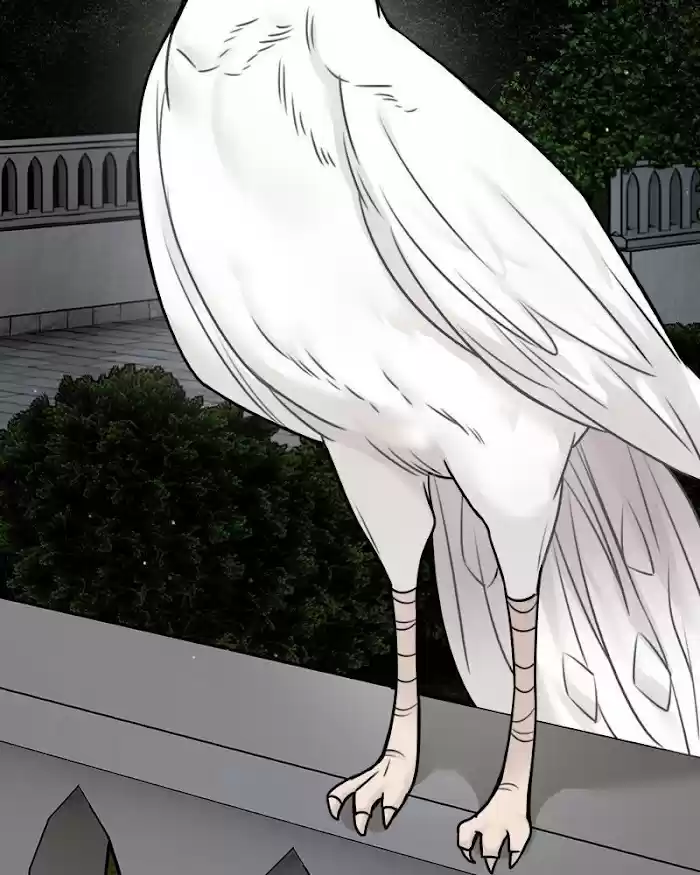 The Newlywed Life Of A Witch And A Dragon Chapter 55