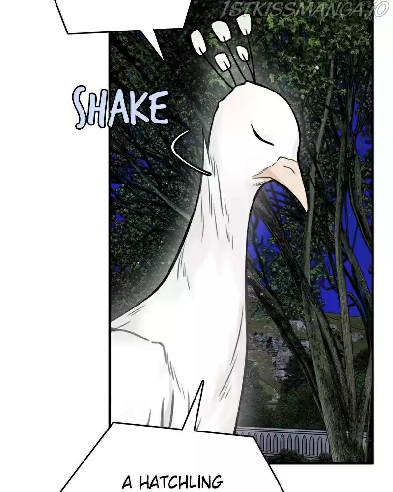 The Newlywed Life Of A Witch And A Dragon Chapter 56