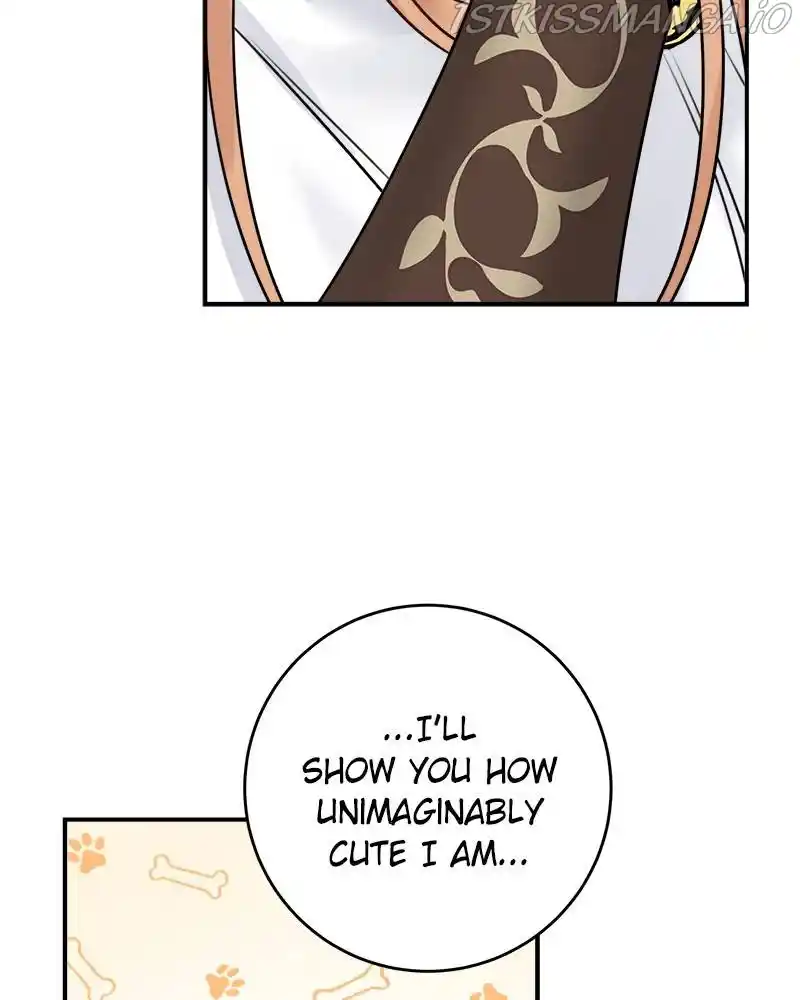 The Newlywed Life Of A Witch And A Dragon Chapter 63