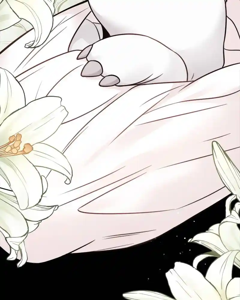 The Newlywed Life Of A Witch And A Dragon Chapter 66