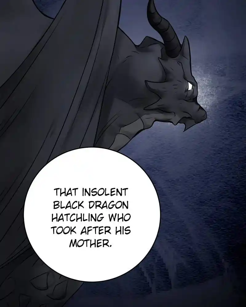 The Newlywed Life Of A Witch And A Dragon Chapter 66