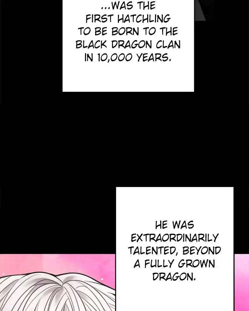 The Newlywed Life Of A Witch And A Dragon Chapter 66