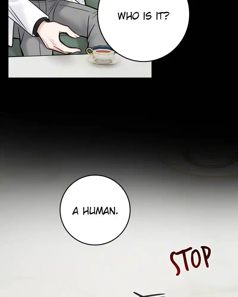 The Newlywed Life Of A Witch And A Dragon Chapter 66