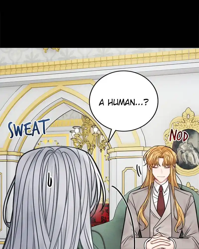 The Newlywed Life Of A Witch And A Dragon Chapter 66