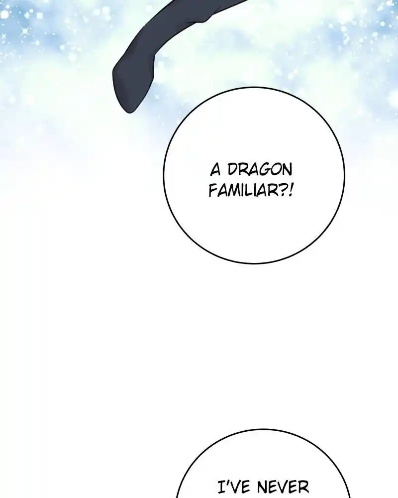 The Newlywed Life Of A Witch And A Dragon Chapter 67