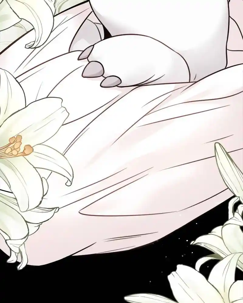 The Newlywed Life Of A Witch And A Dragon Chapter 69