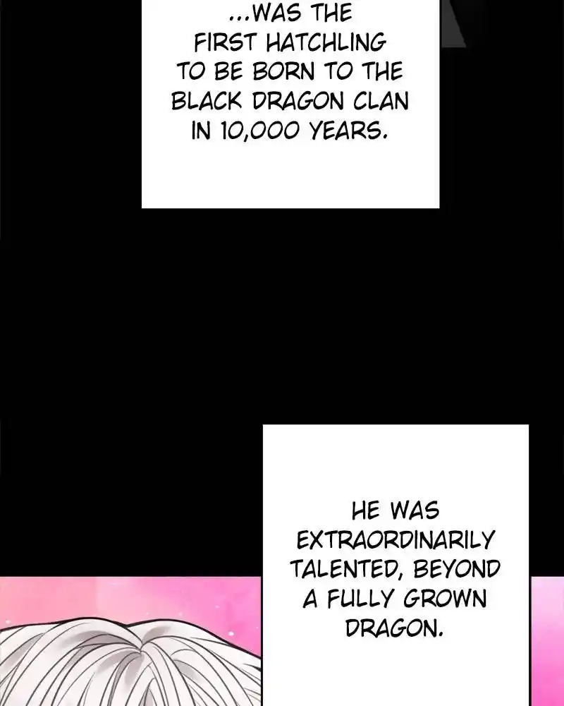 The Newlywed Life Of A Witch And A Dragon Chapter 69