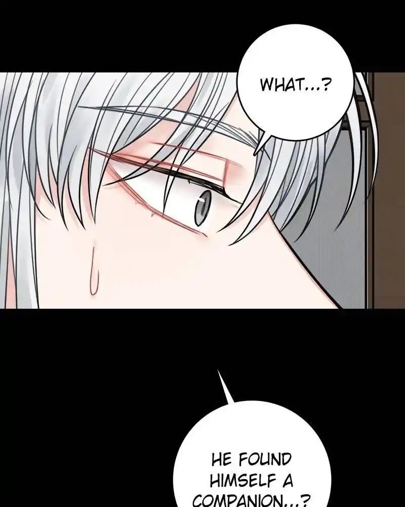 The Newlywed Life Of A Witch And A Dragon Chapter 69