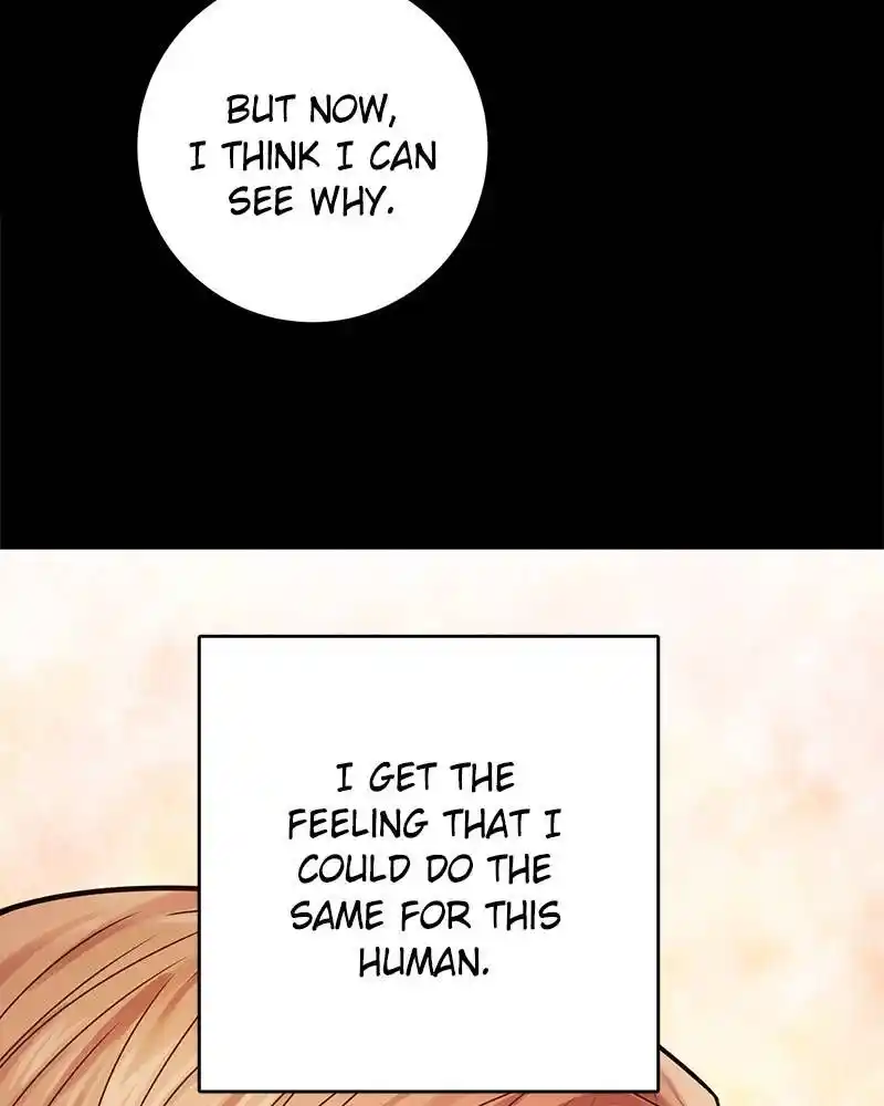 The Newlywed Life Of A Witch And A Dragon Chapter 69