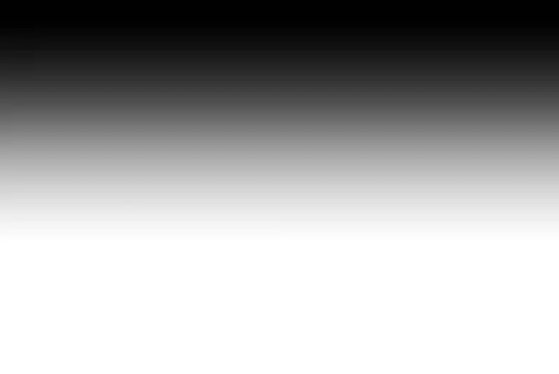 The Newlywed Life Of A Witch And A Dragon Chapter 69