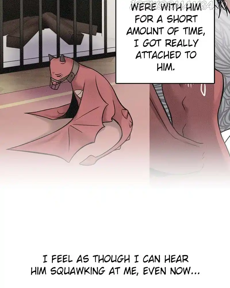 The Newlywed Life Of A Witch And A Dragon Chapter 73