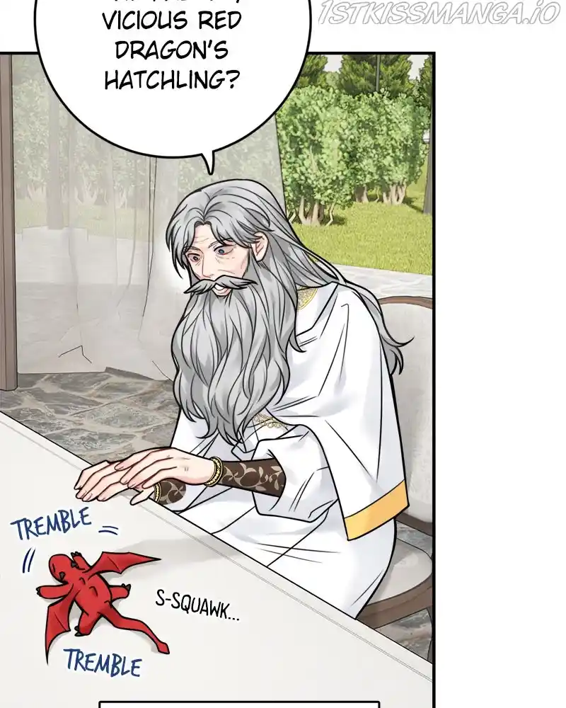 The Newlywed Life Of A Witch And A Dragon Chapter 81