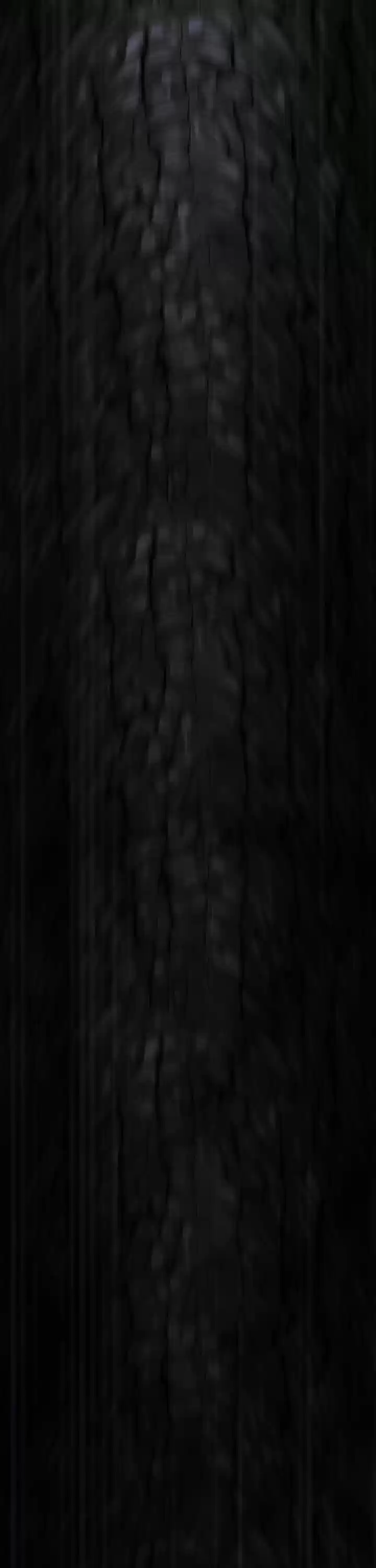 The Pale Horse Chapter 98