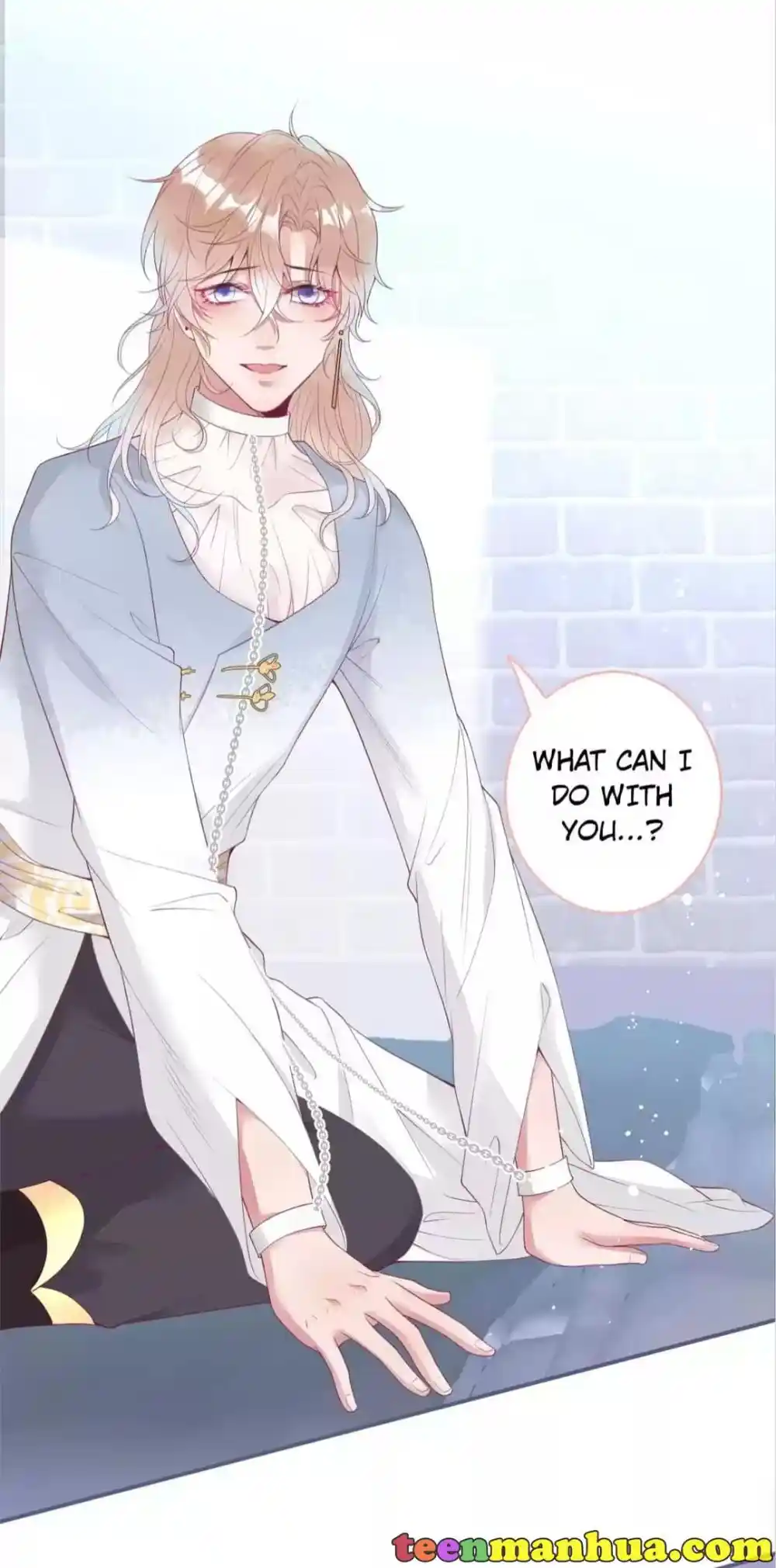 The Prince And His Mischievous One Chapter 117