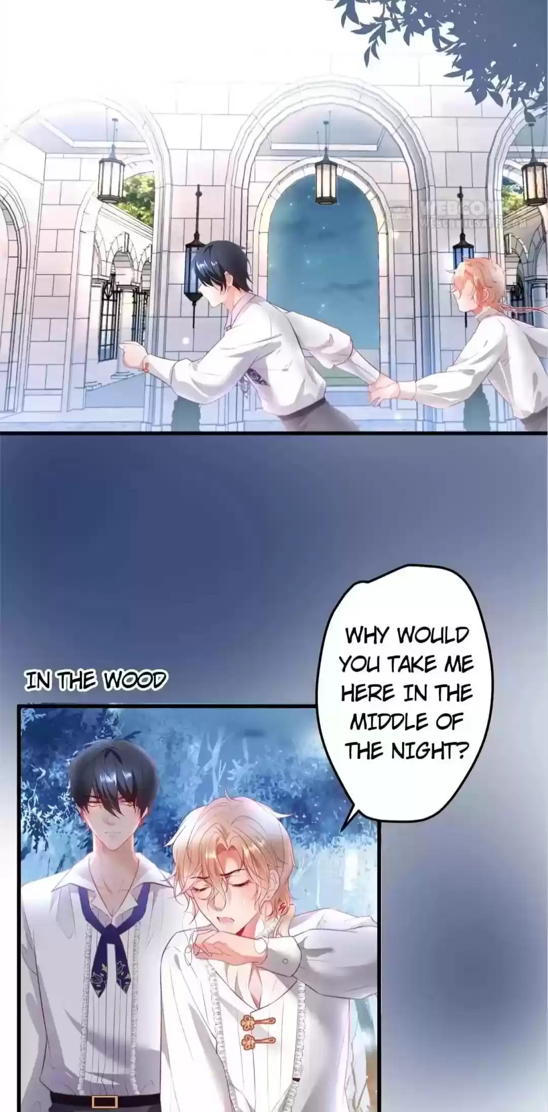 The Prince And His Mischievous One Chapter 13