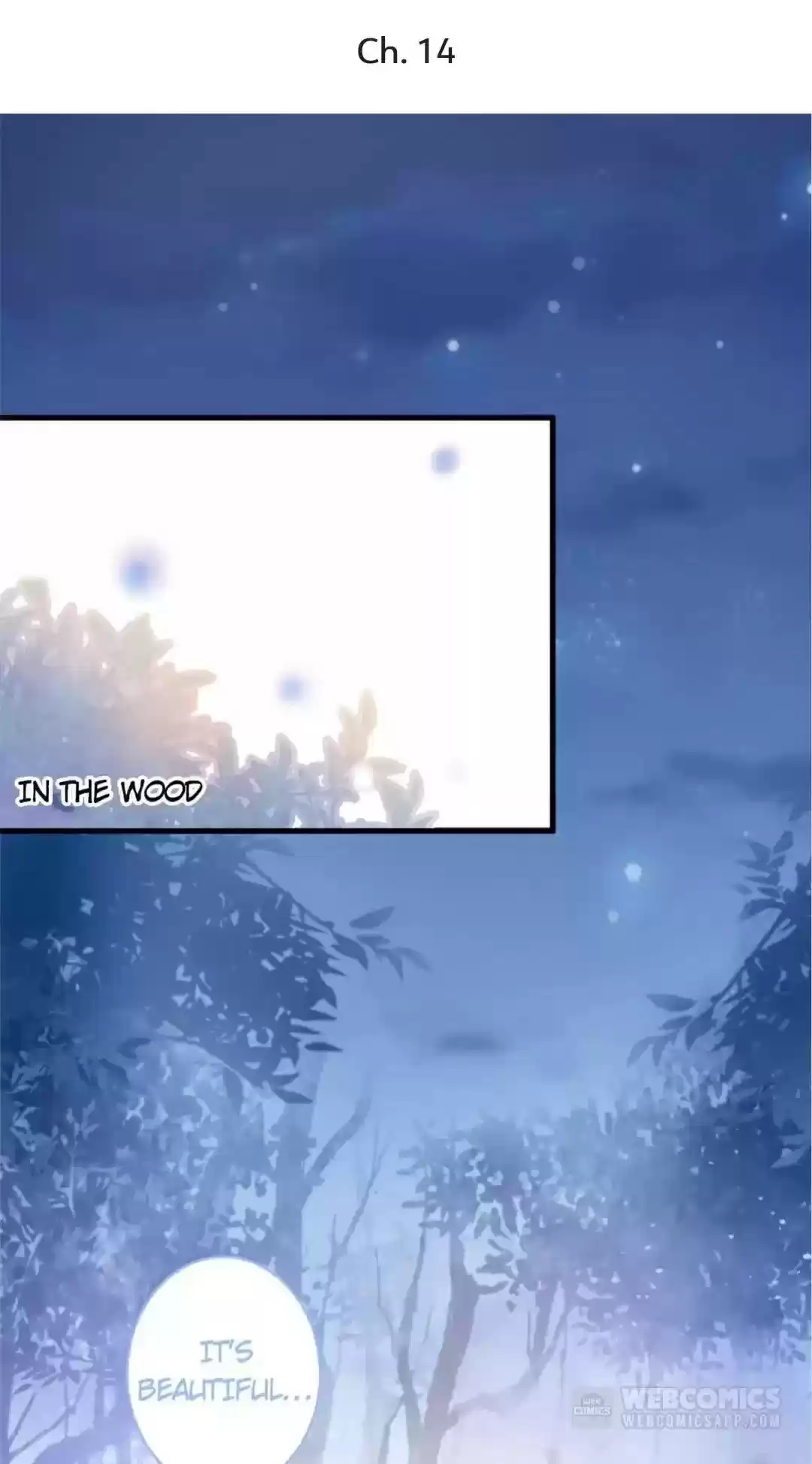 The Prince And His Mischievous One Chapter 14