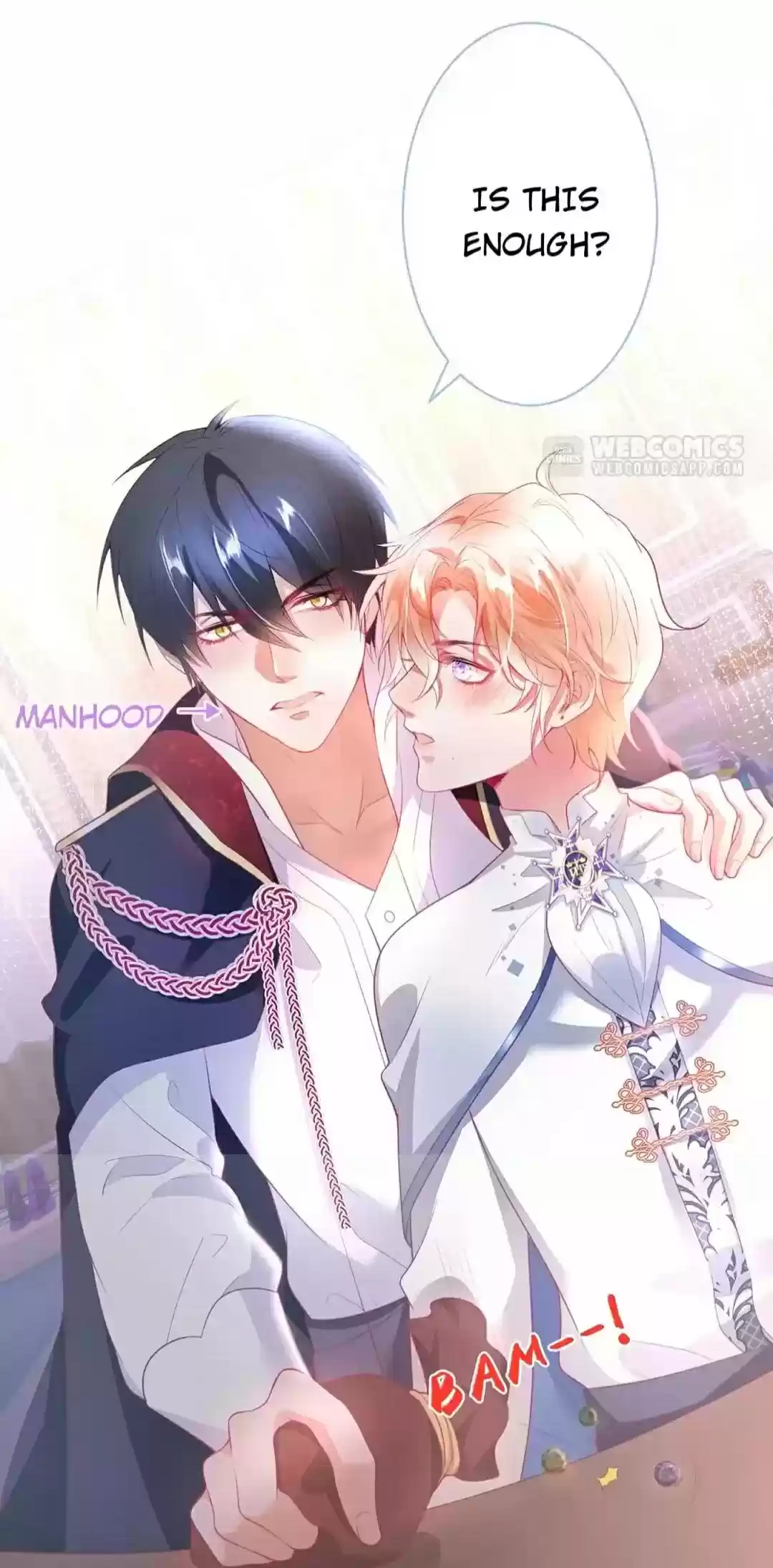 The Prince And His Mischievous One Chapter 41