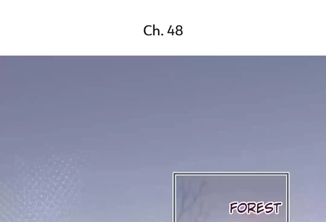 The Prince And His Mischievous One Chapter 48