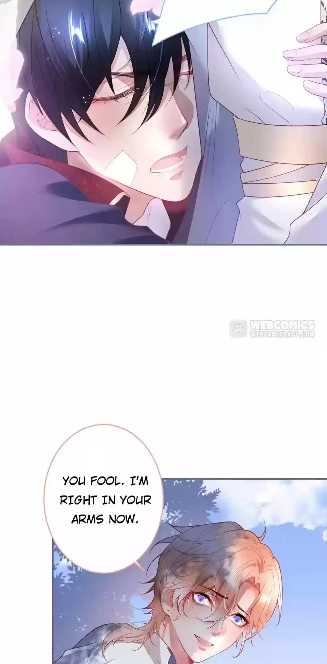 The Prince And His Mischievous One Chapter 49